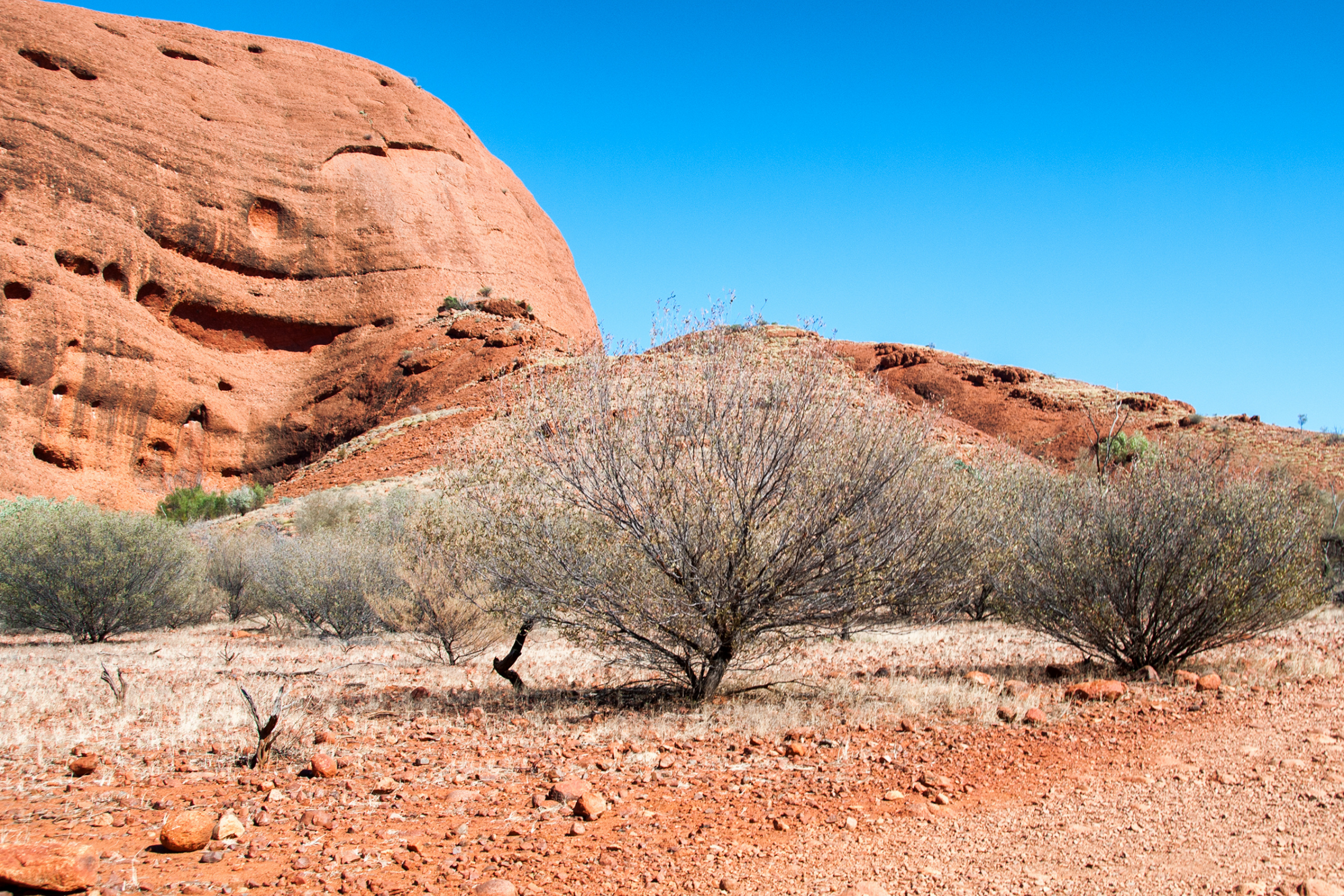 mount olga, kata tjuta national park (3).webp